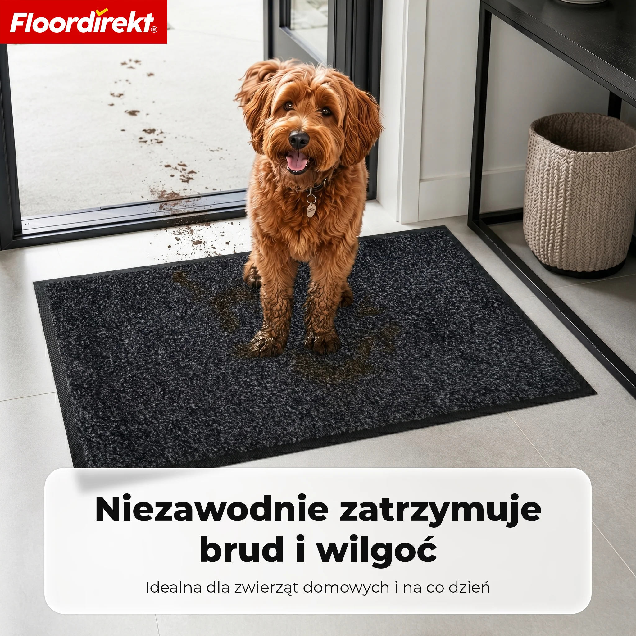Mata wejściowa | Karat | Zmywalna mata czyszcząca z antypoślizgowym spodem TPE - Image 13