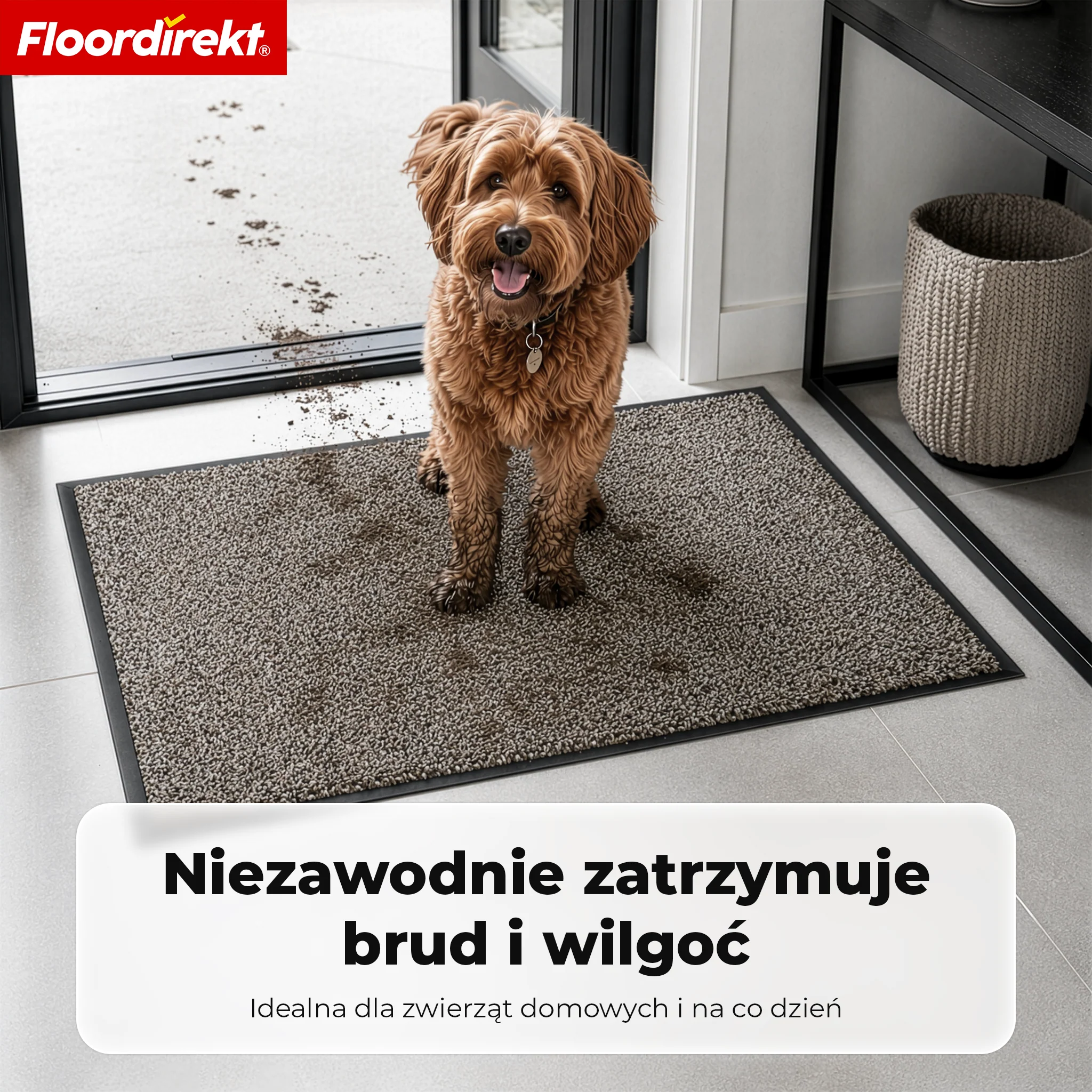 Mata wejściowa | Karat | Zmywalna mata czyszcząca z antypoślizgowym spodem TPE - Image 28