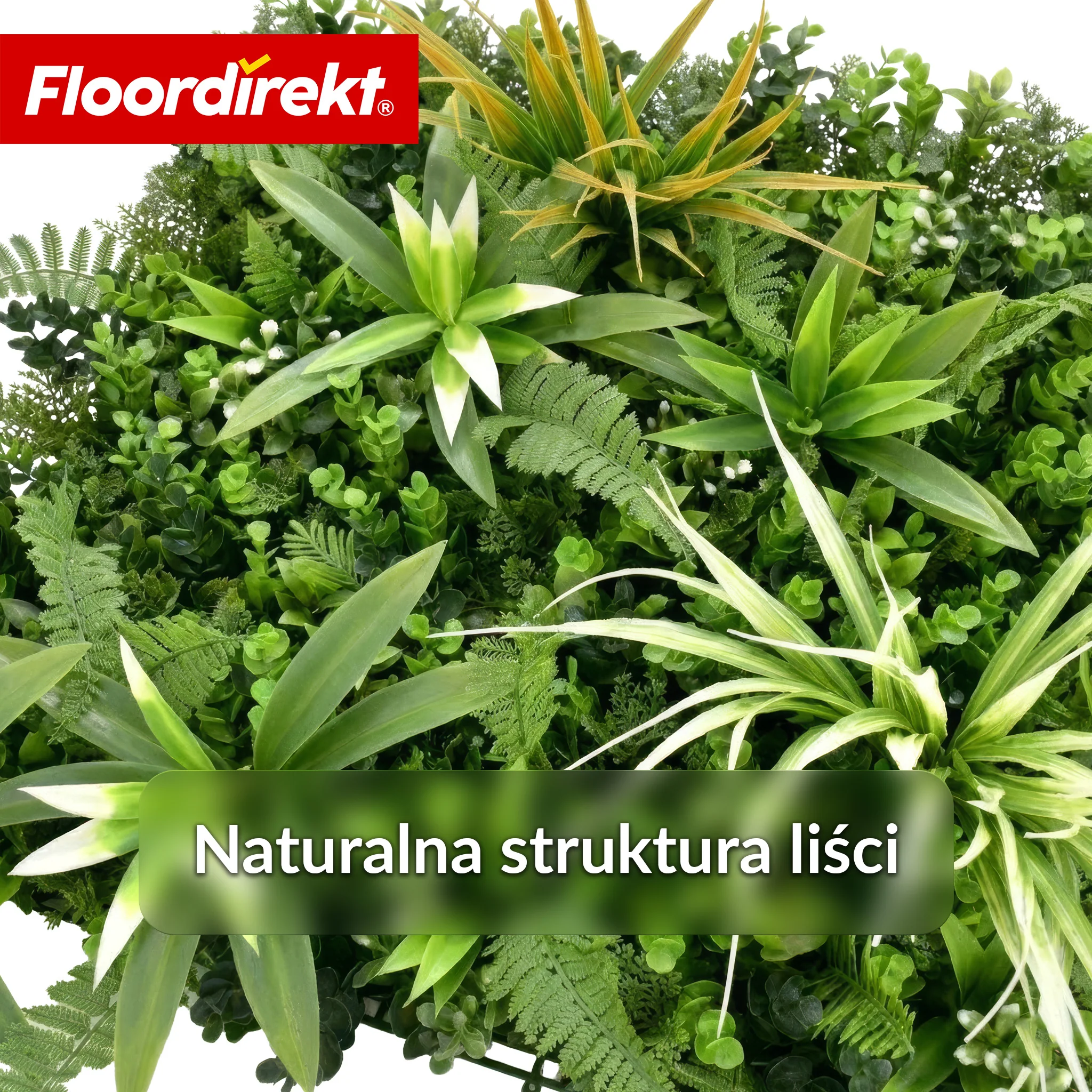 Ścianka roślinna | Fire Sky | Naturalny, bezobsługowy panel roślin sztucznych | Odporny na słońce i rozszerzalny dzięki systemowi klik | 50 × 50 cm - Image 4