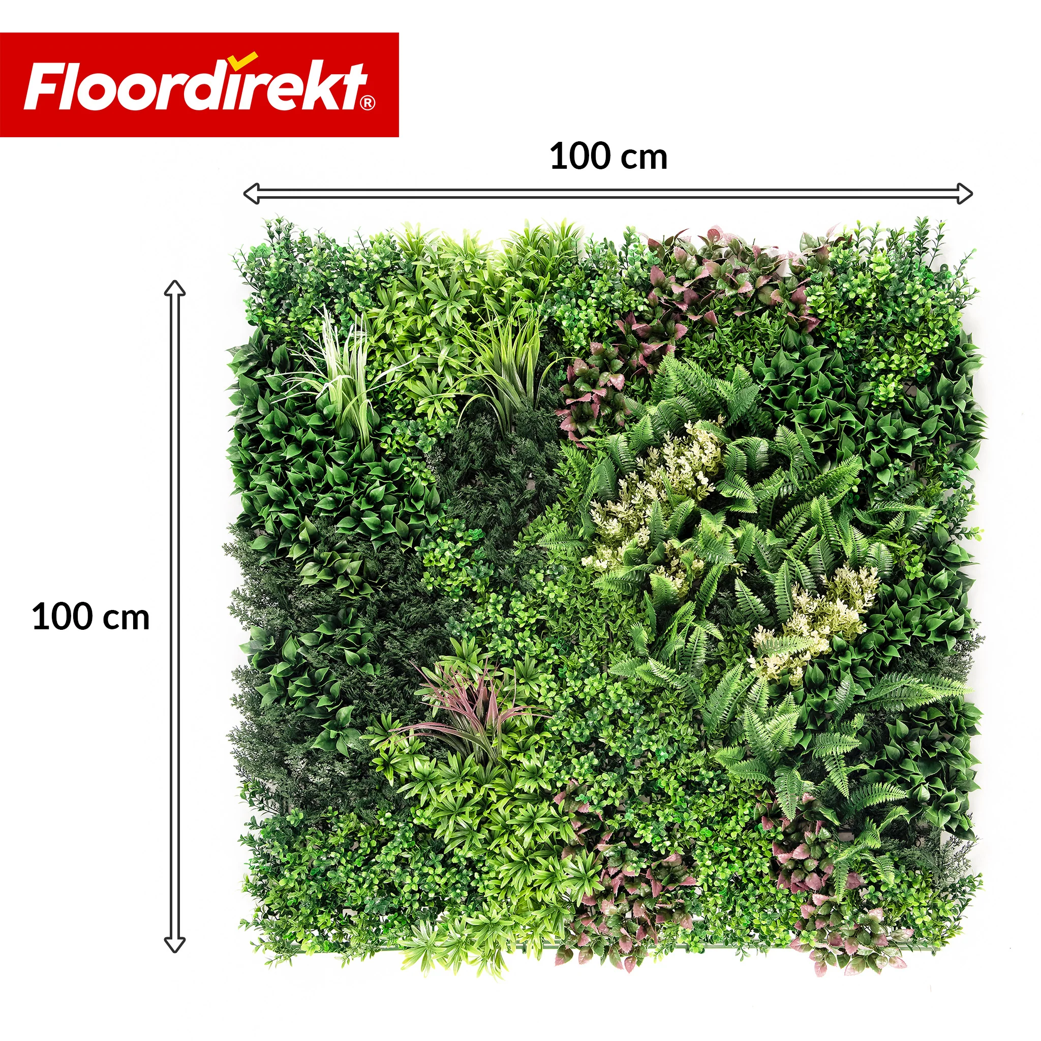 Ścianka roślinna | Hera | Naturalny, bezobsługowy panel z roślin sztucznych | Odporny na słońce i rozszerzalny dzięki systemowi klik | 100 × 100 cm - Image 2