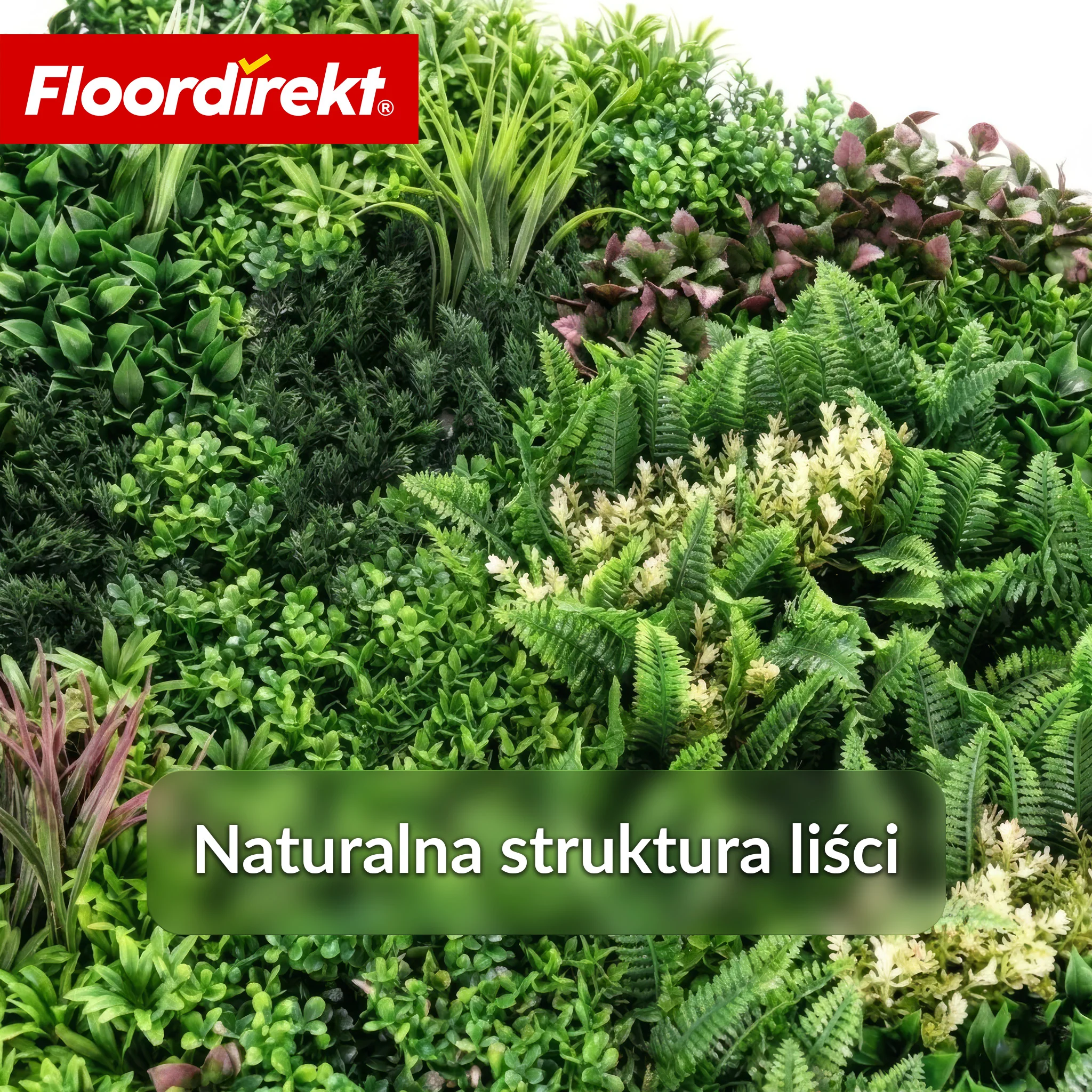 Ścianka roślinna | Hera | Naturalny, bezobsługowy panel z roślin sztucznych | Odporny na słońce i rozszerzalny dzięki systemowi klik | 100 × 100 cm - Image 4